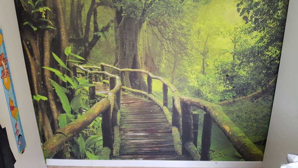 Drewniany most przez zieloną dżunglę