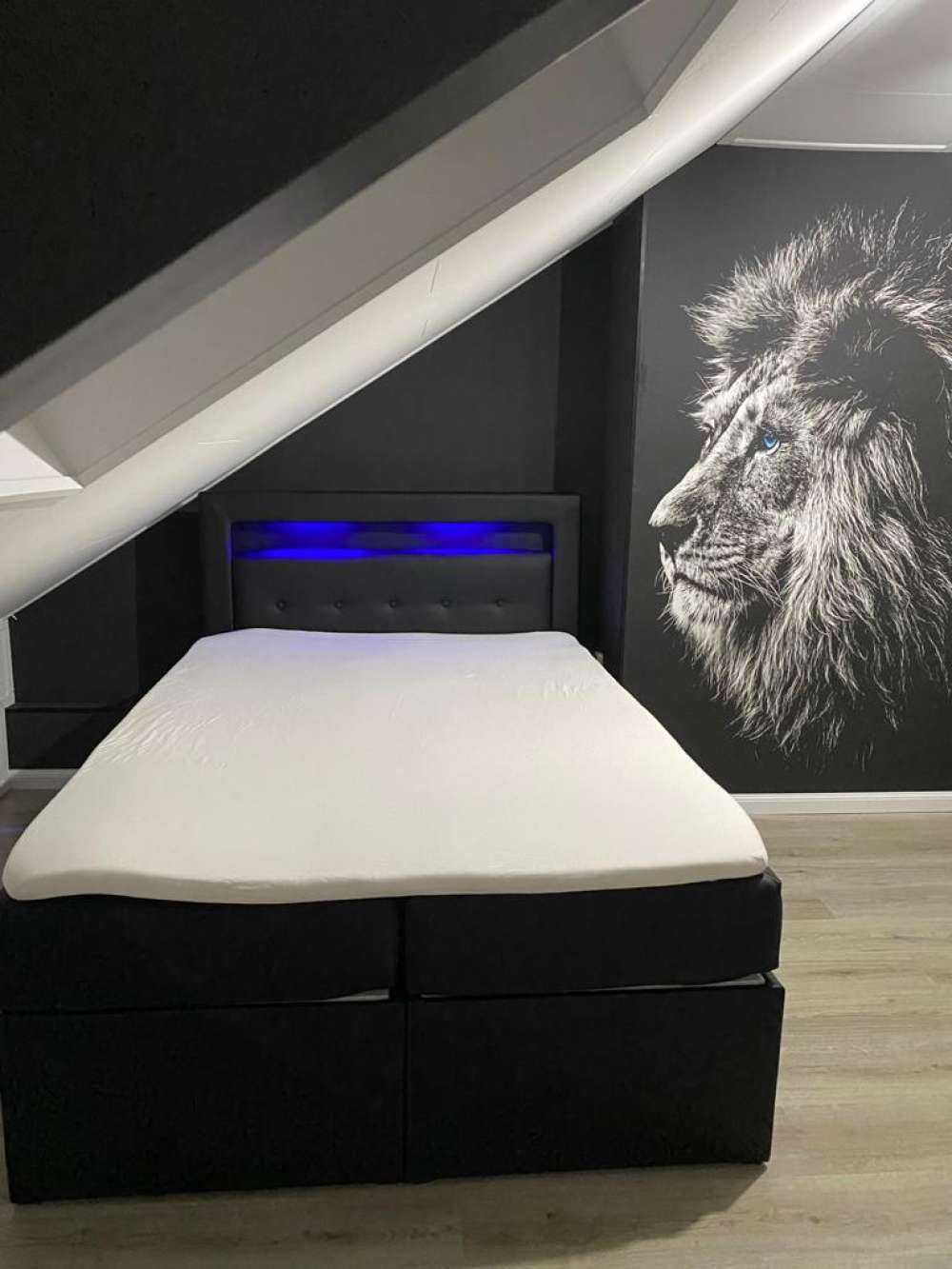 Lew z niebieskimi oczami