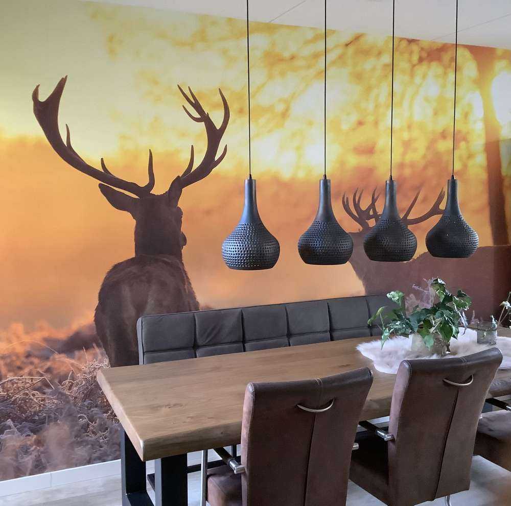 Jeleń o zachodzie słońca