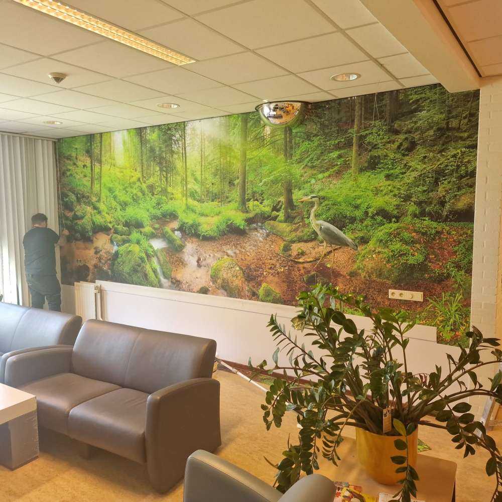 Urokliwy krajobraz leśny