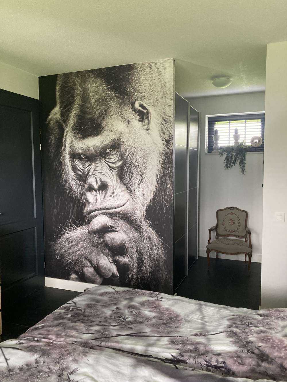 Zbliżone zdjęcie goryla