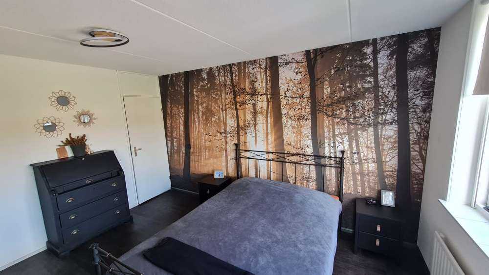 Słońce w mglistym lesie