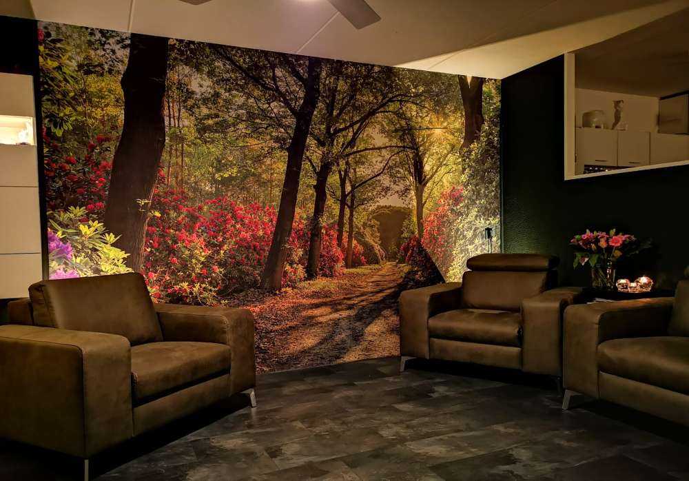 Wschód słońca na ścieżce z rododendronami