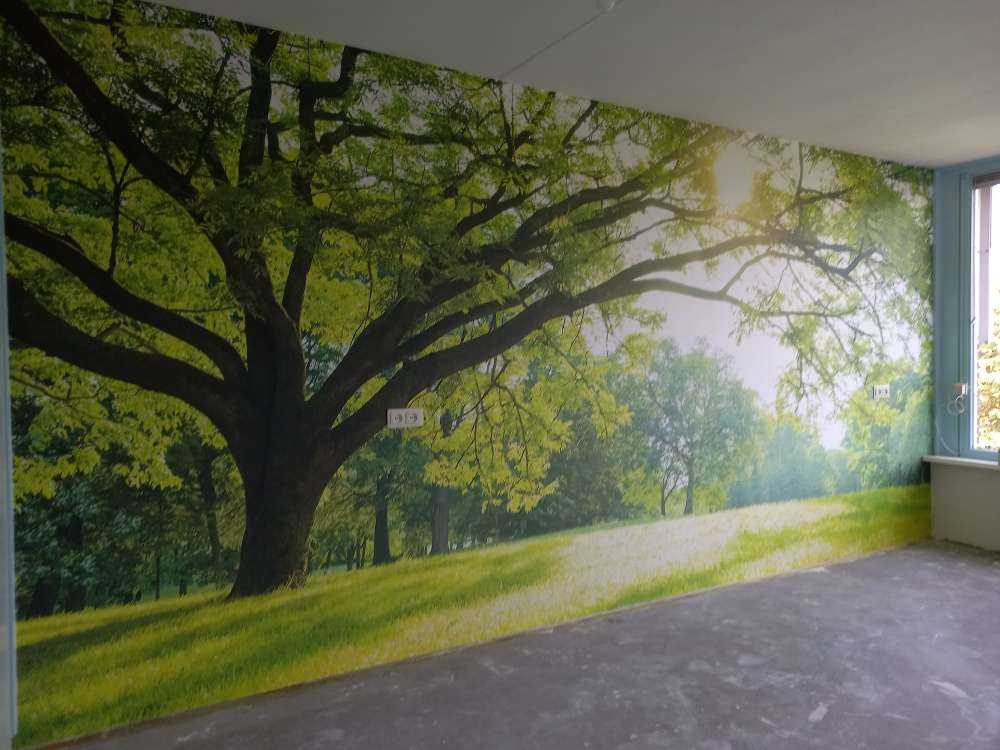 Piękne drzewo z zieloną trawą