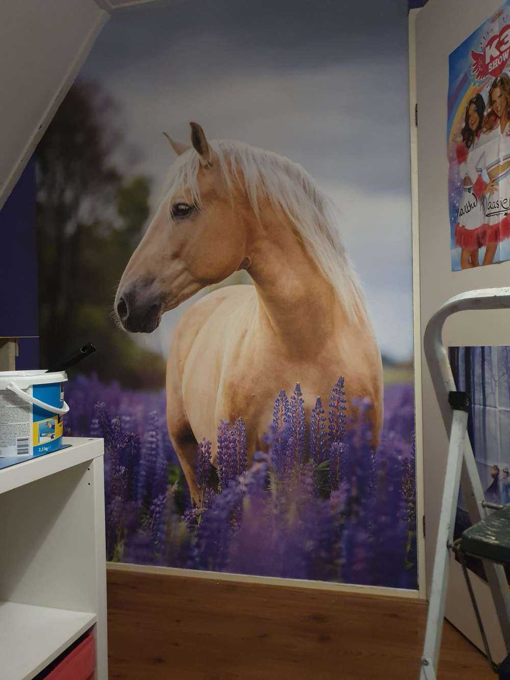 Koń między lawendą