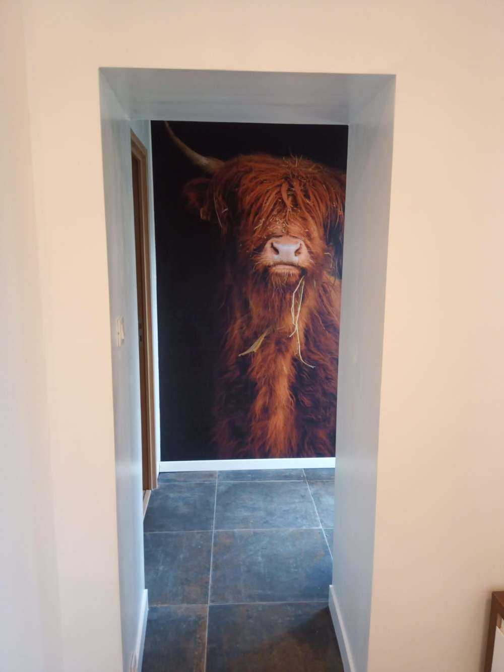 Portret szkockiego wyżynna