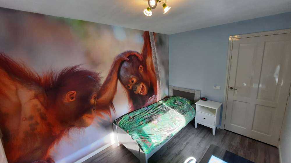 Dziecięce orangutany