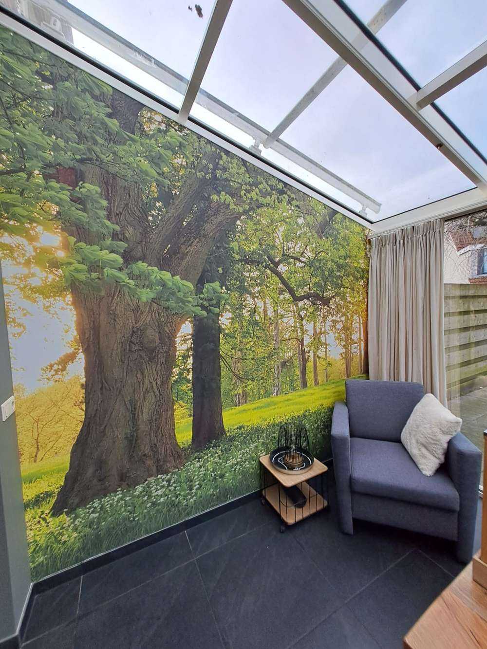 Otwarta przestrzeń w lesie