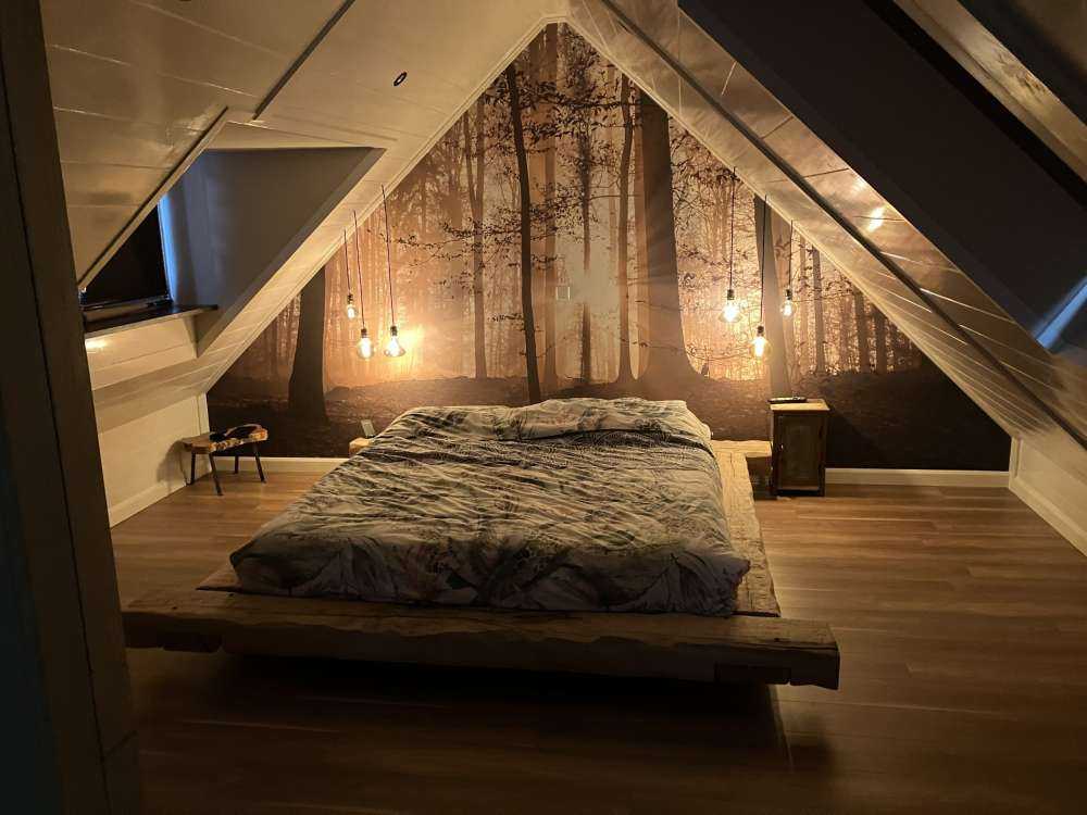 Słońce w mglistym lesie