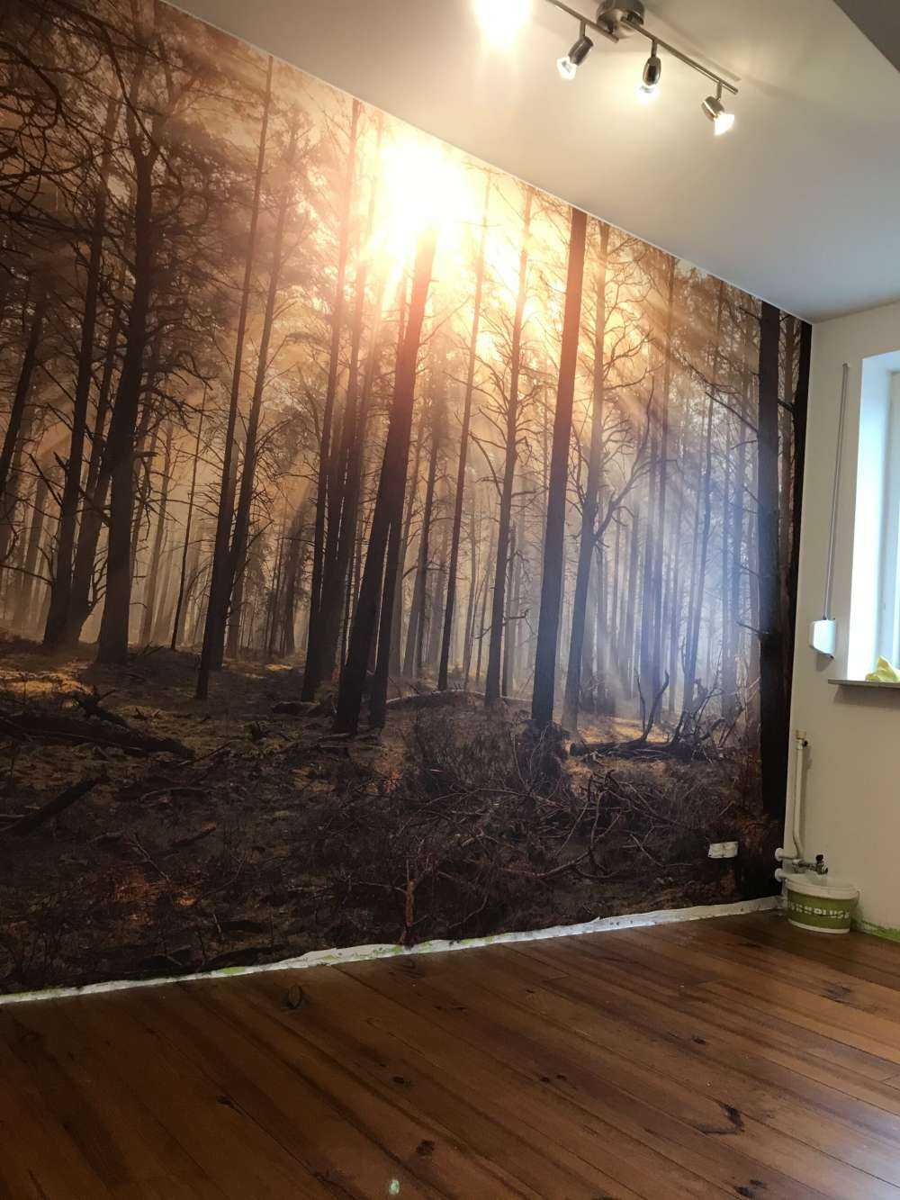 Las z wysokimi drzewami