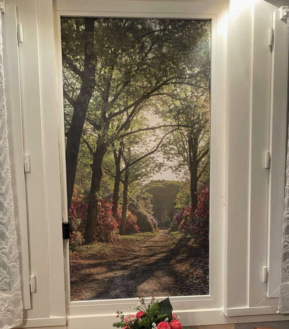 Wschód słońca na ścieżce z rododendronami