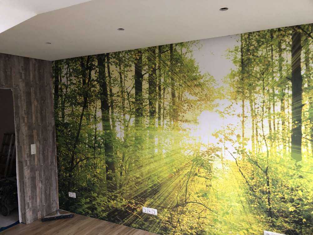 Słońce w zielonym lesie