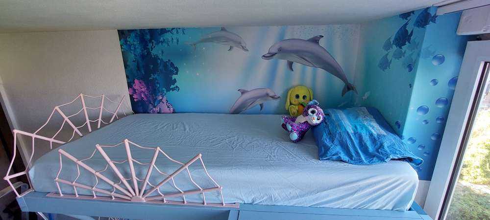 Podwodny świat z delfinami