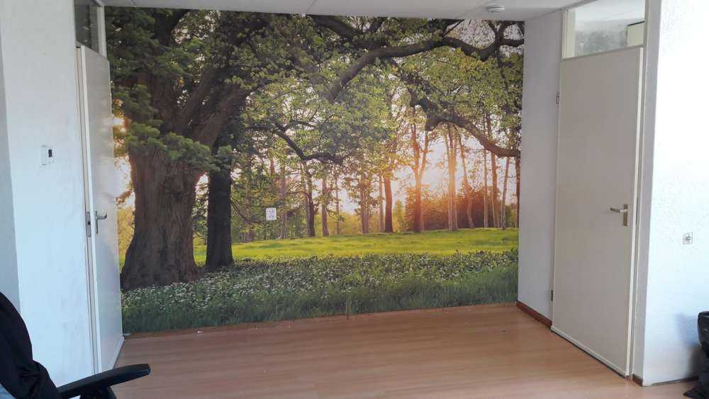 Otwarta przestrzeń w lesie