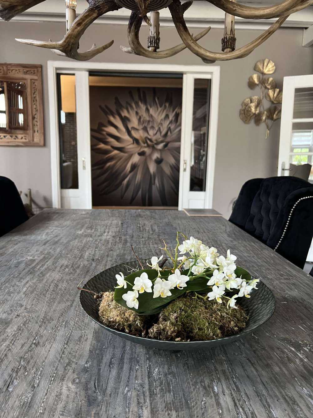 Kwiat dalii czarno-biały