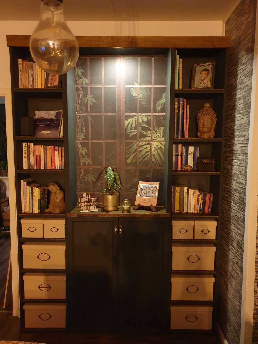 Rośliny botaniczne za oknami