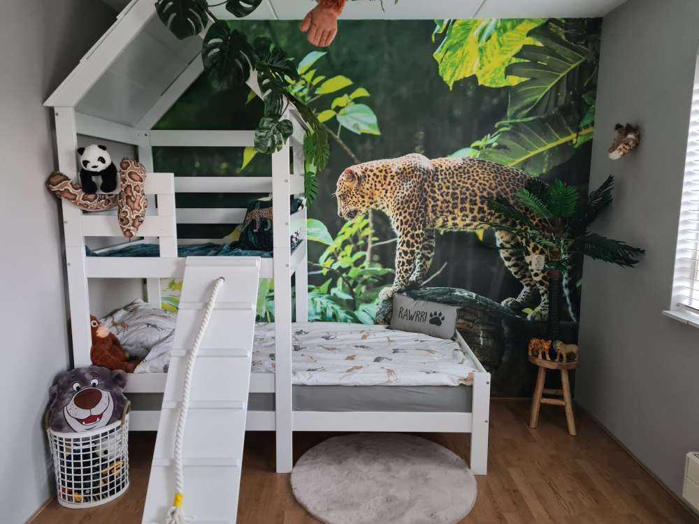 Leopard na skale