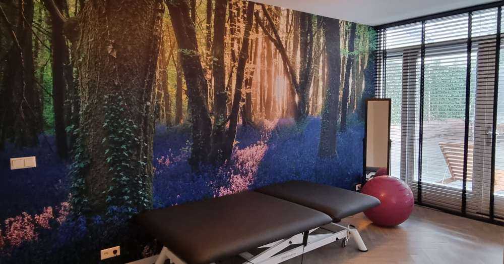 Leśna ścieżka o wschodzie słońca