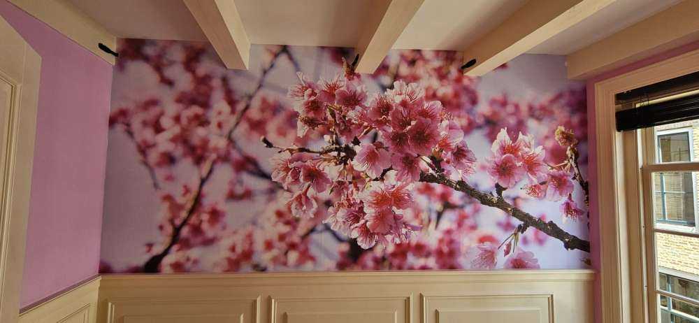 Zbliżenie na różowego kwiatka