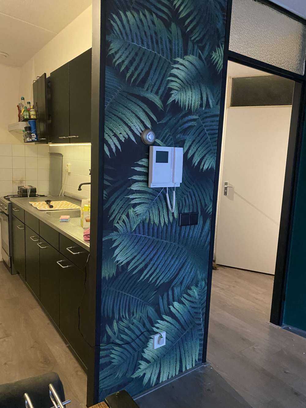 Duże liście palmowe