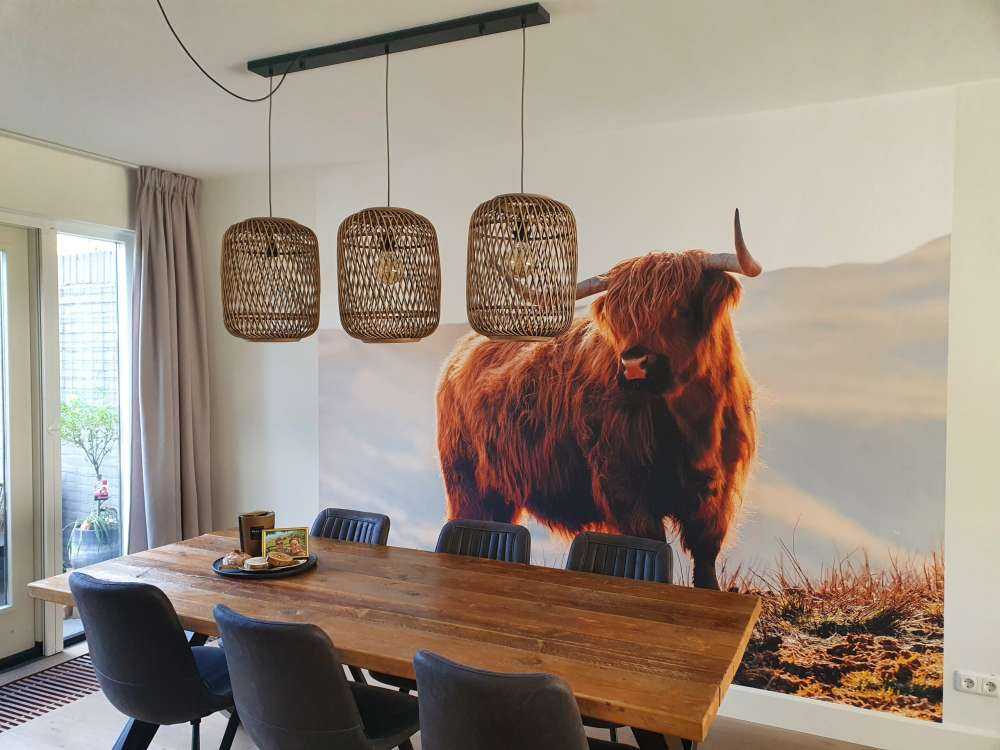 Szkocki wyżyn na wzgórzu