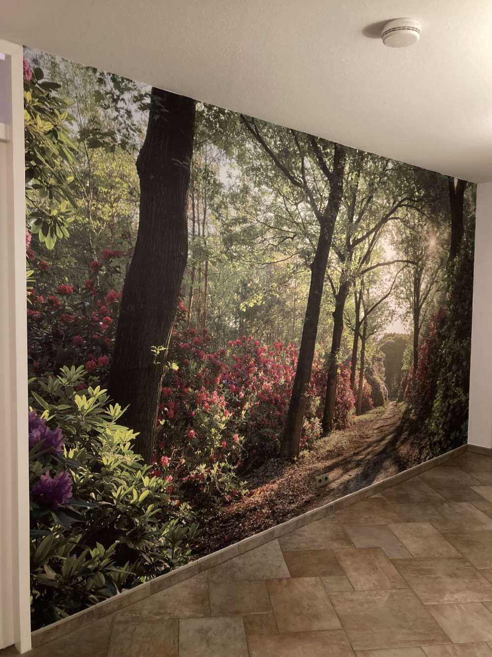 Wschód słońca na ścieżce z rododendronami