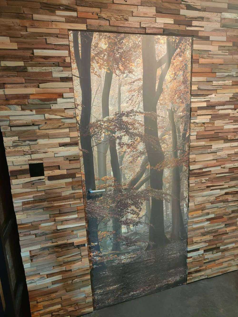 Jesienne kolory w lesie