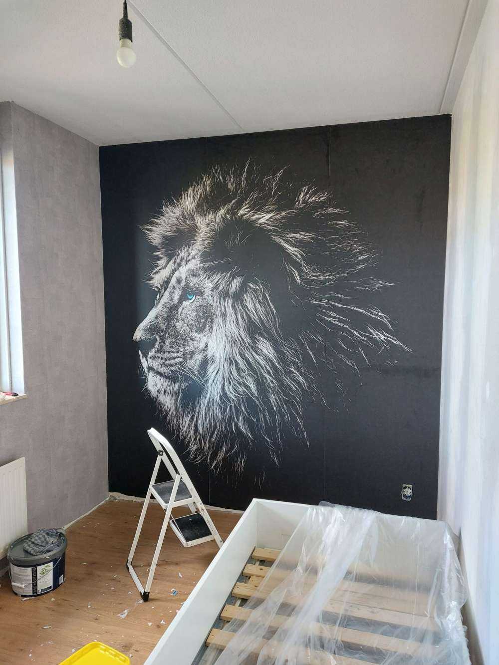 Lew z niebieskimi oczami