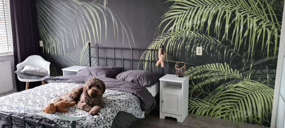 Roślina z zielonymi liśćmi