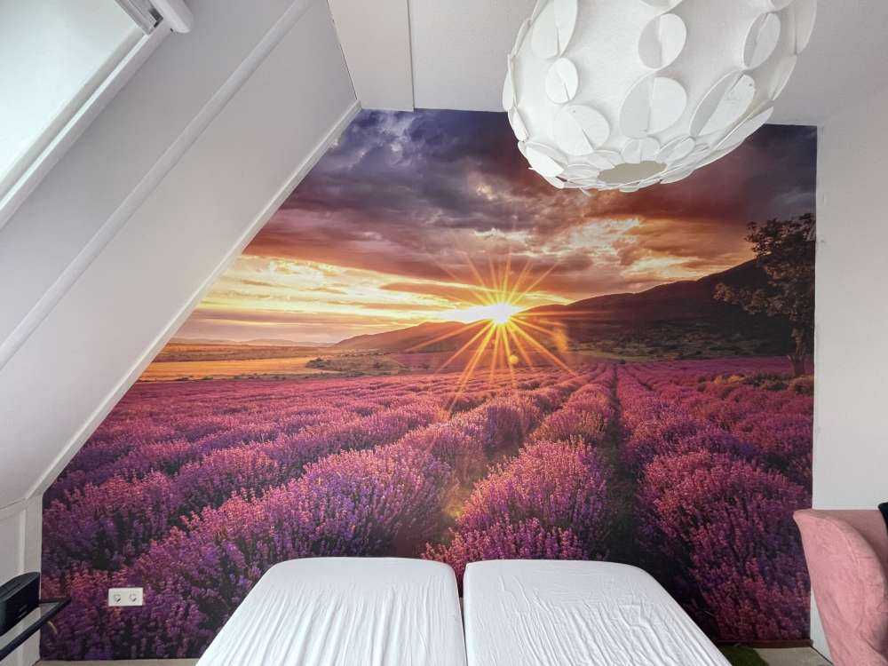 Lawenda pod słońcem