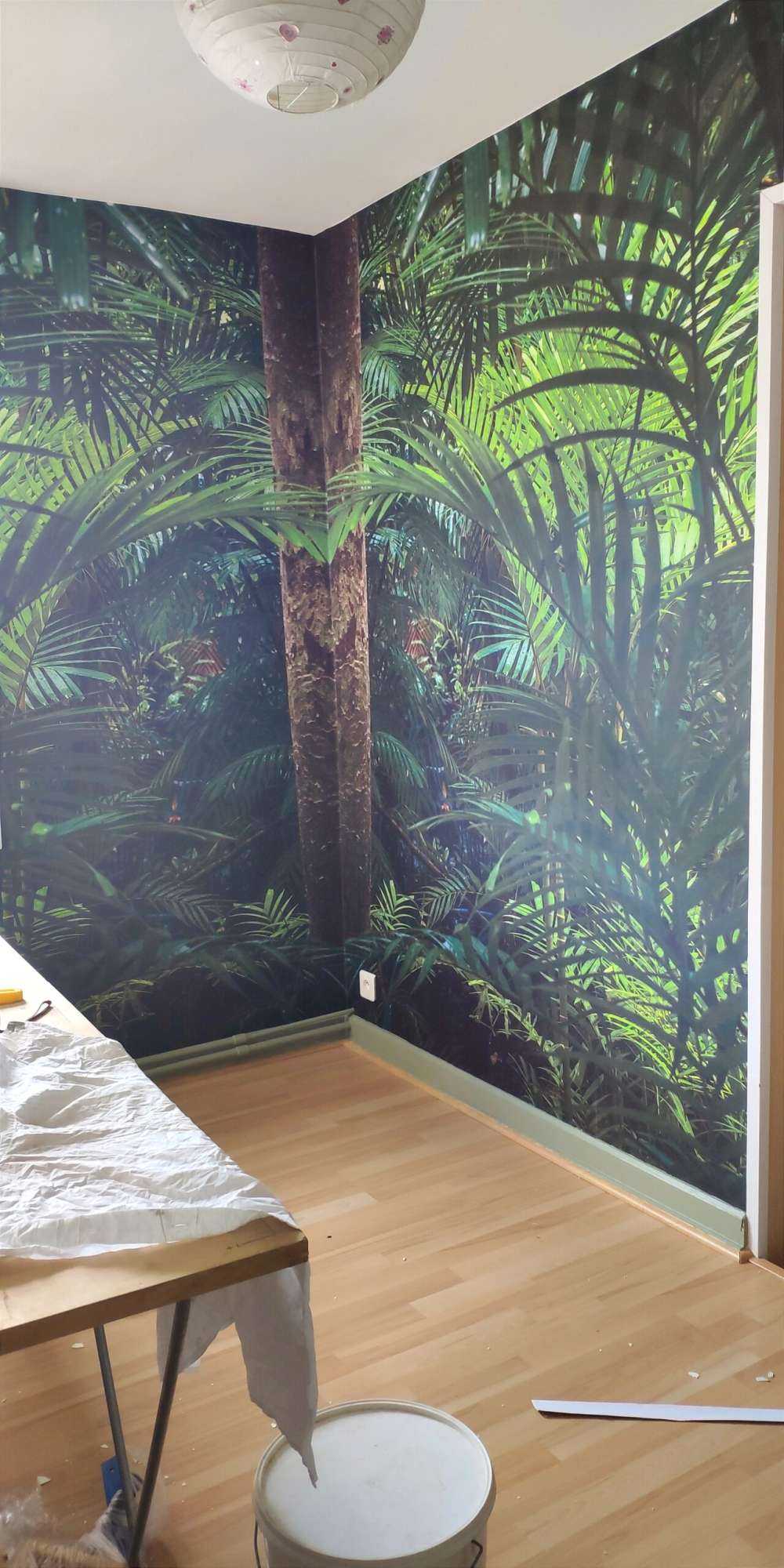 Tropikalne lasy deszczowe