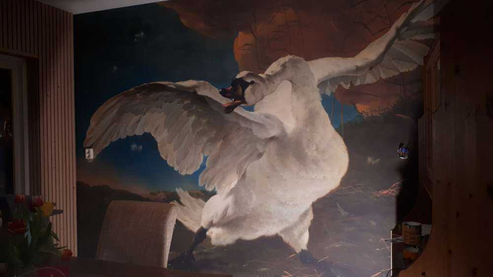 Zagrożony łabędź