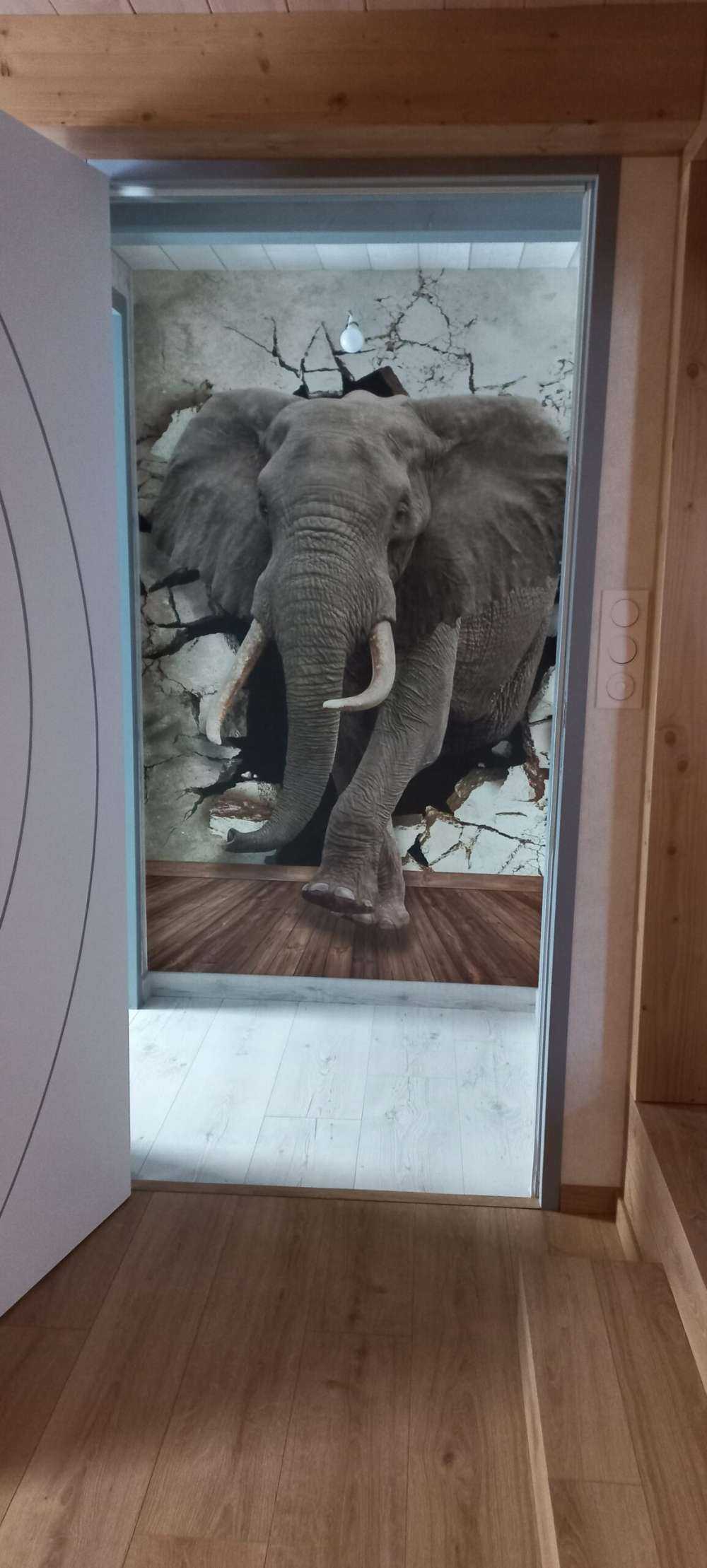 Wielki słoń z muru