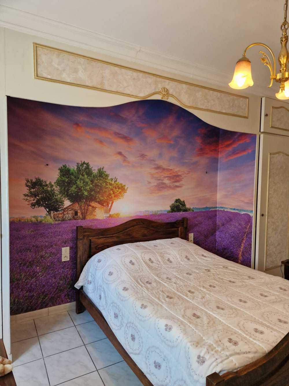 Pole lawendowe podczas wschodu słońca