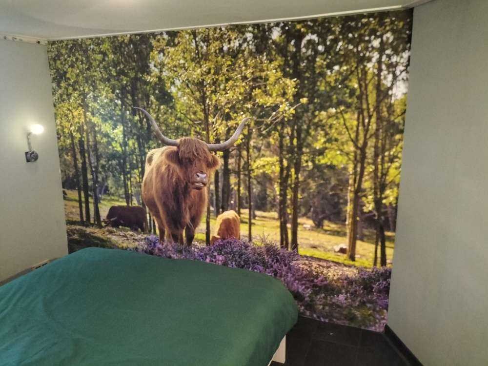 Wyżynny w rezerwacie przyrody