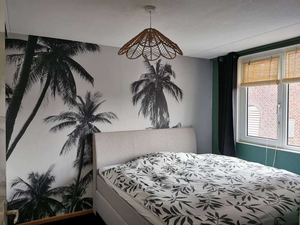 Palmy w czerni i bieli