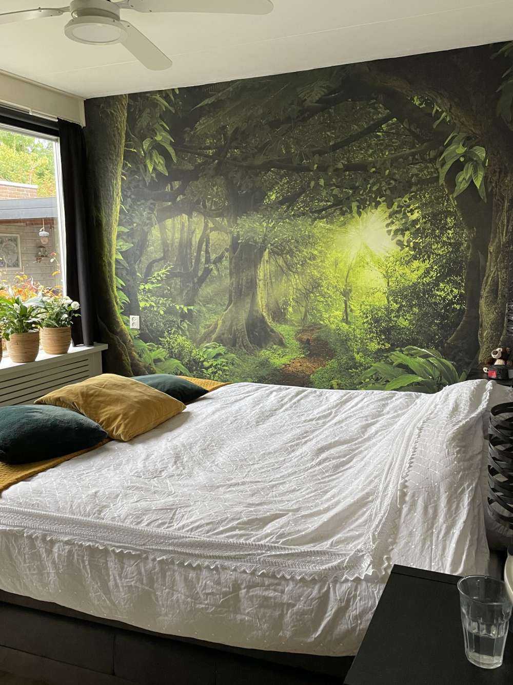 Tropikalna dżungla w świetle słońca