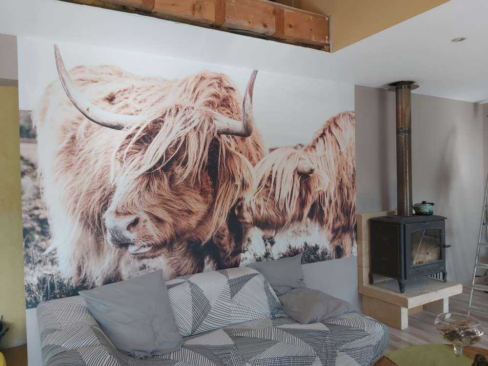 Dwa szkockie wyżynny