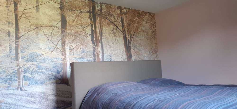 Strumień w lesie - pastel