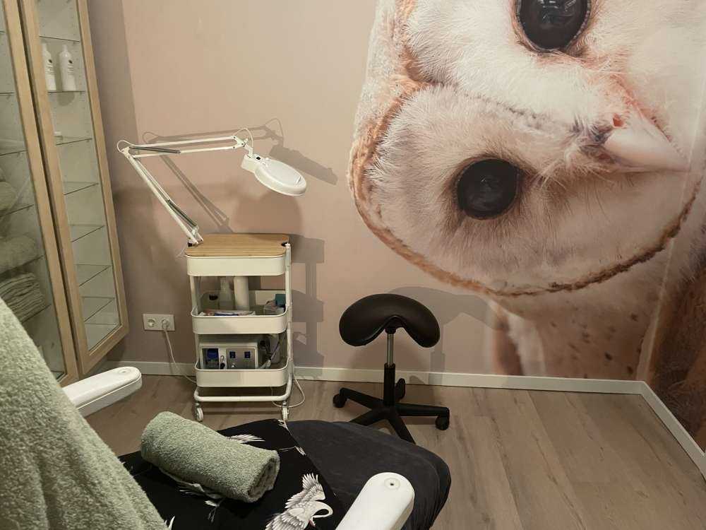 Sowa z przechyloną głową