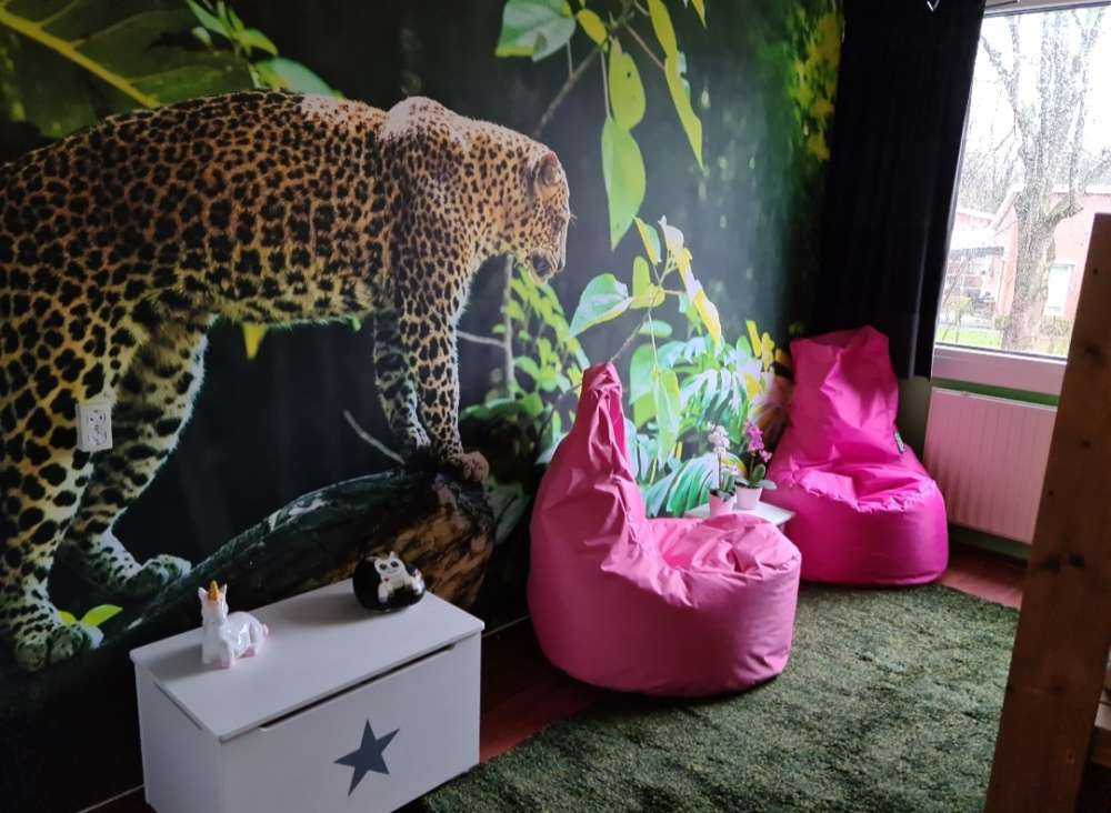 Leopard na skale
