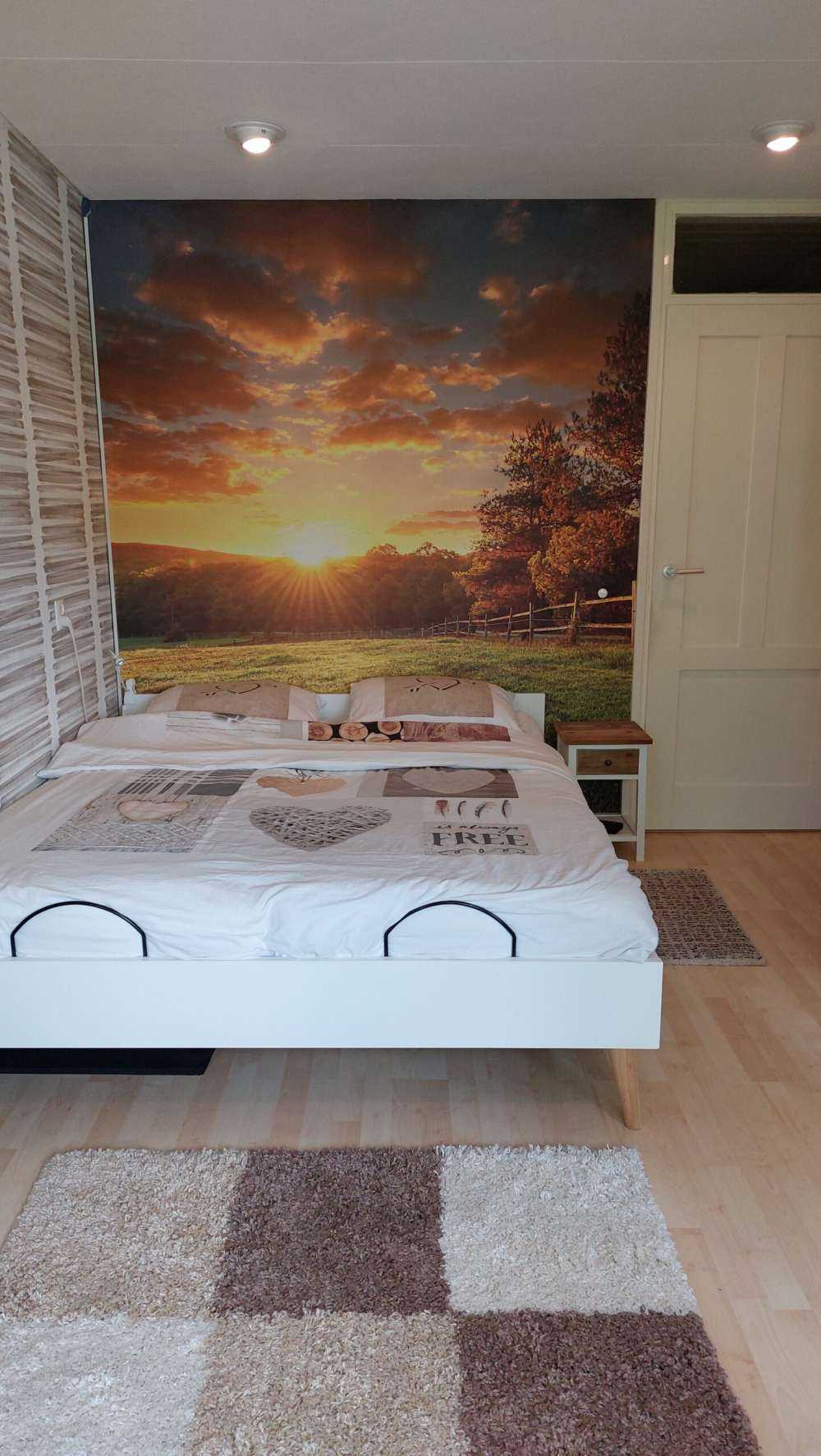 Pastwisko o zachodzie słońca