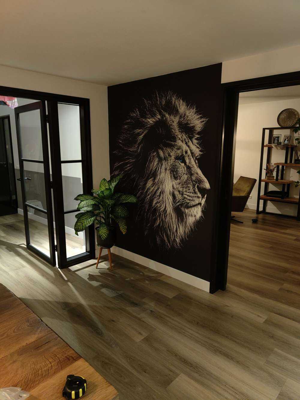 Lew z niebieskimi oczami