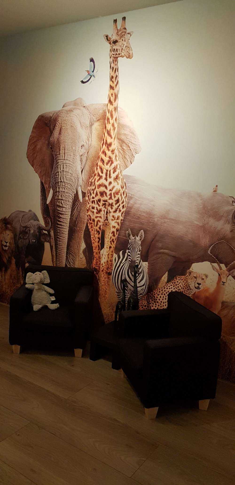 Zwierzę ta na sawannie