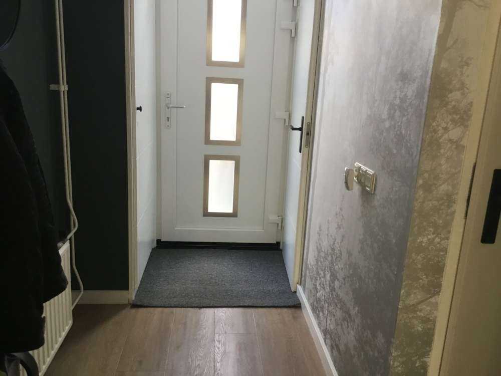 Gęsta mgła w lesie