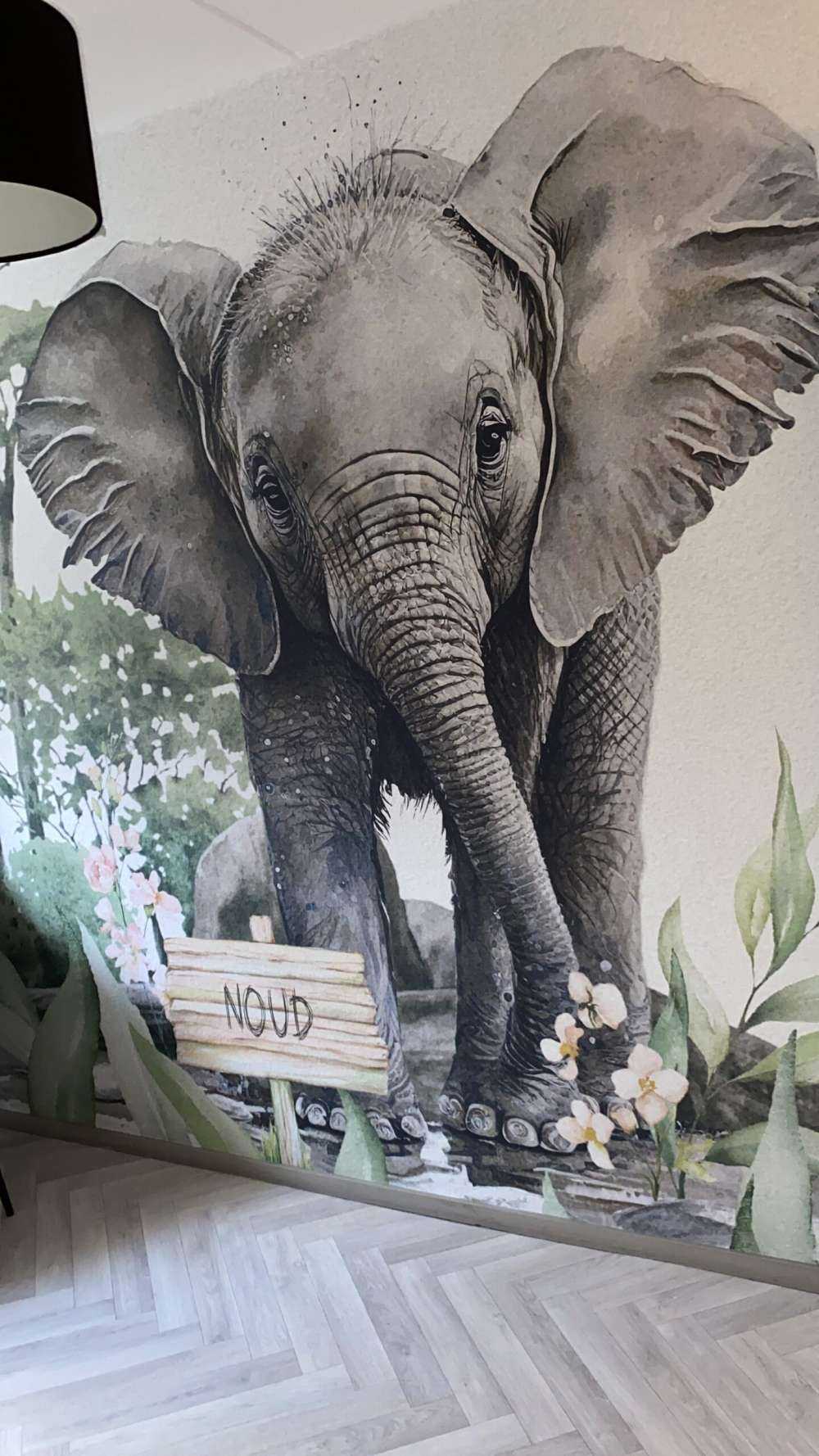 Mały słoń w dżungli