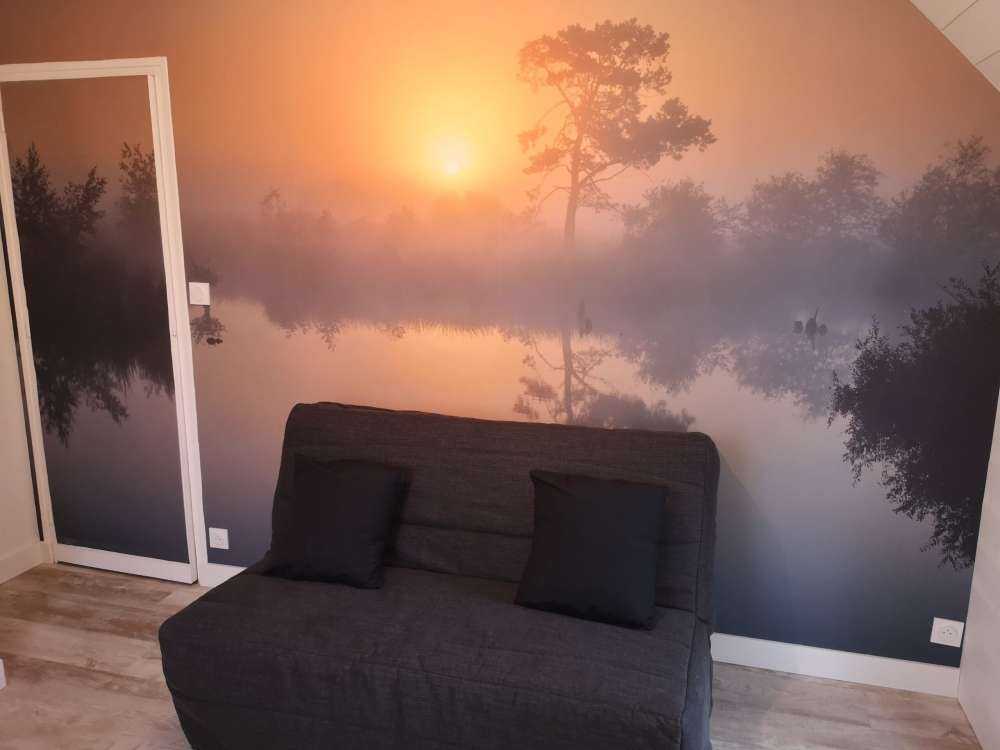 Las z wysokimi drzewami