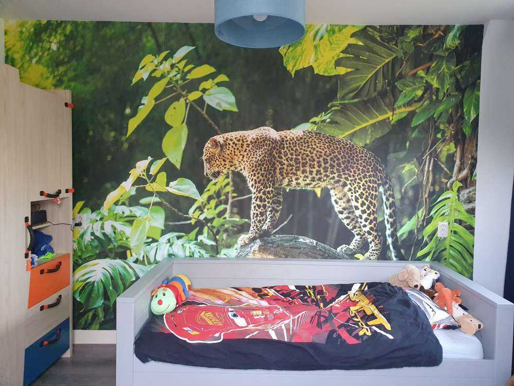 Leopard na skale