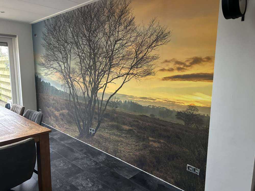 Wschód słońca na wrzosowisku