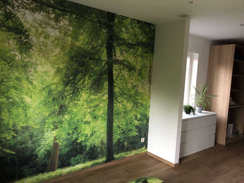 Las z lekką mgiełką